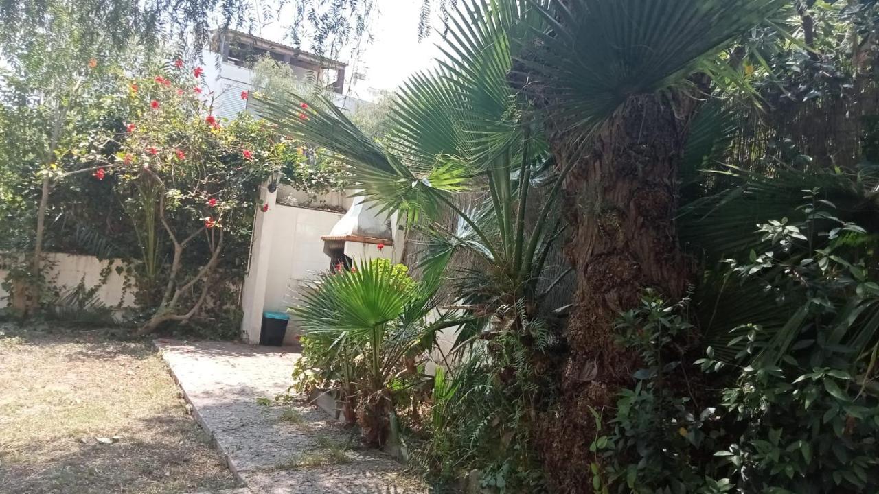 Apartamento - Jardin En Playa San Sebastian ซีเจส ภายนอก รูปภาพ